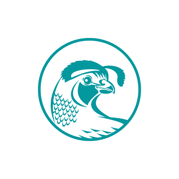 The Creative Quail